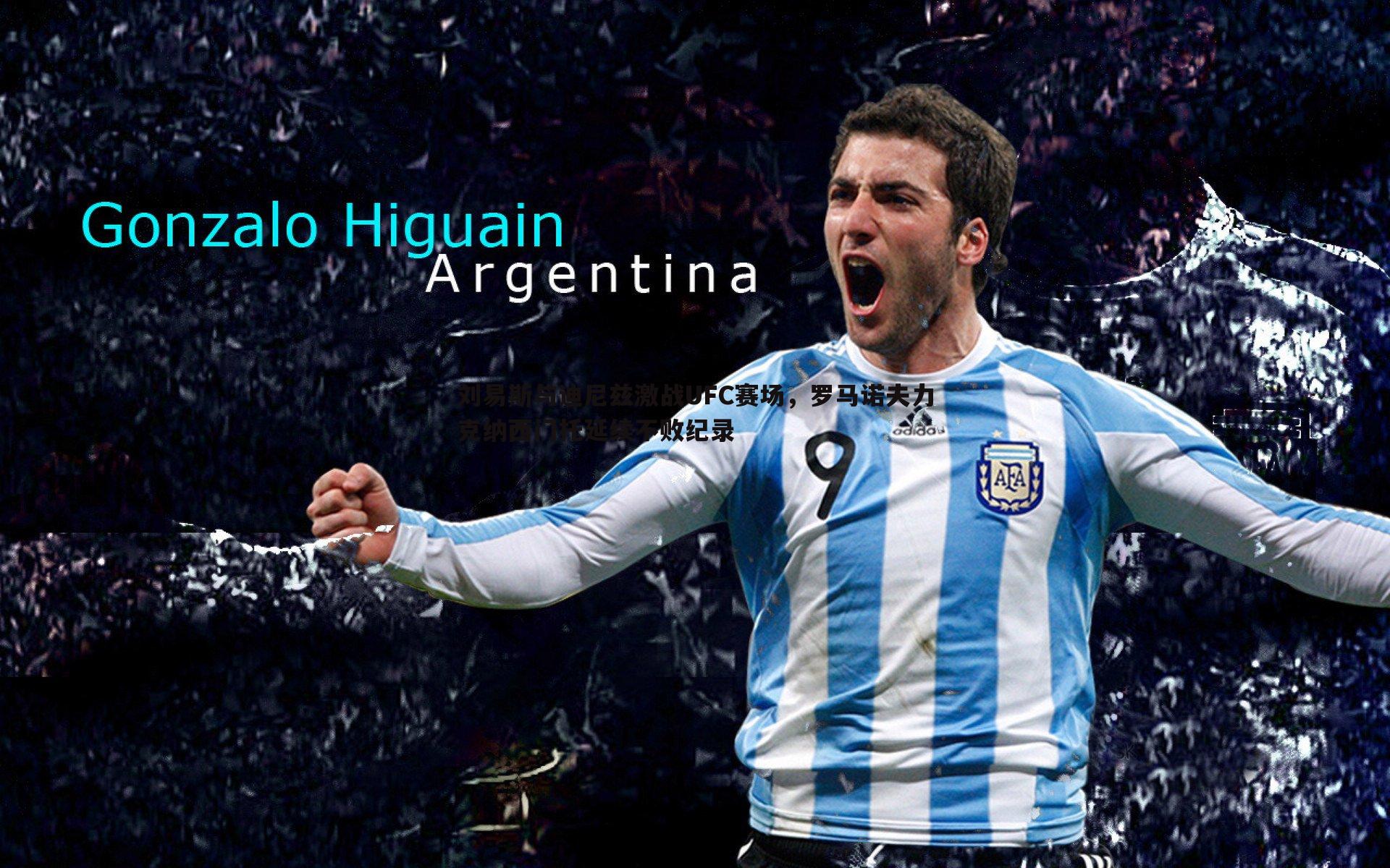 刘易斯与迪尼兹激战UFC赛场,罗马诺夫力克纳西门托延续不败纪录